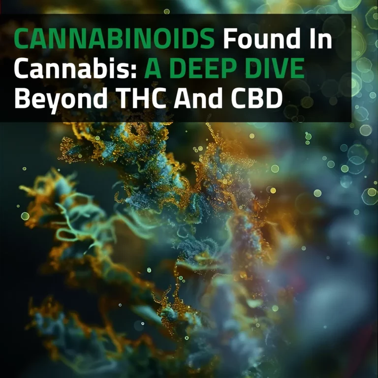 Cannabinoids Found In Cannabis: A Deep Dive Beyond THC And CBD