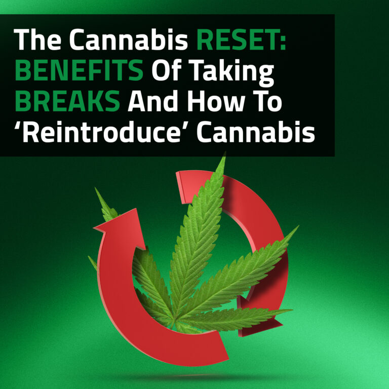 The Cannabis Reset: Benefits Of Taking Breaks And How To ‘Reintroduce’ Cannabis