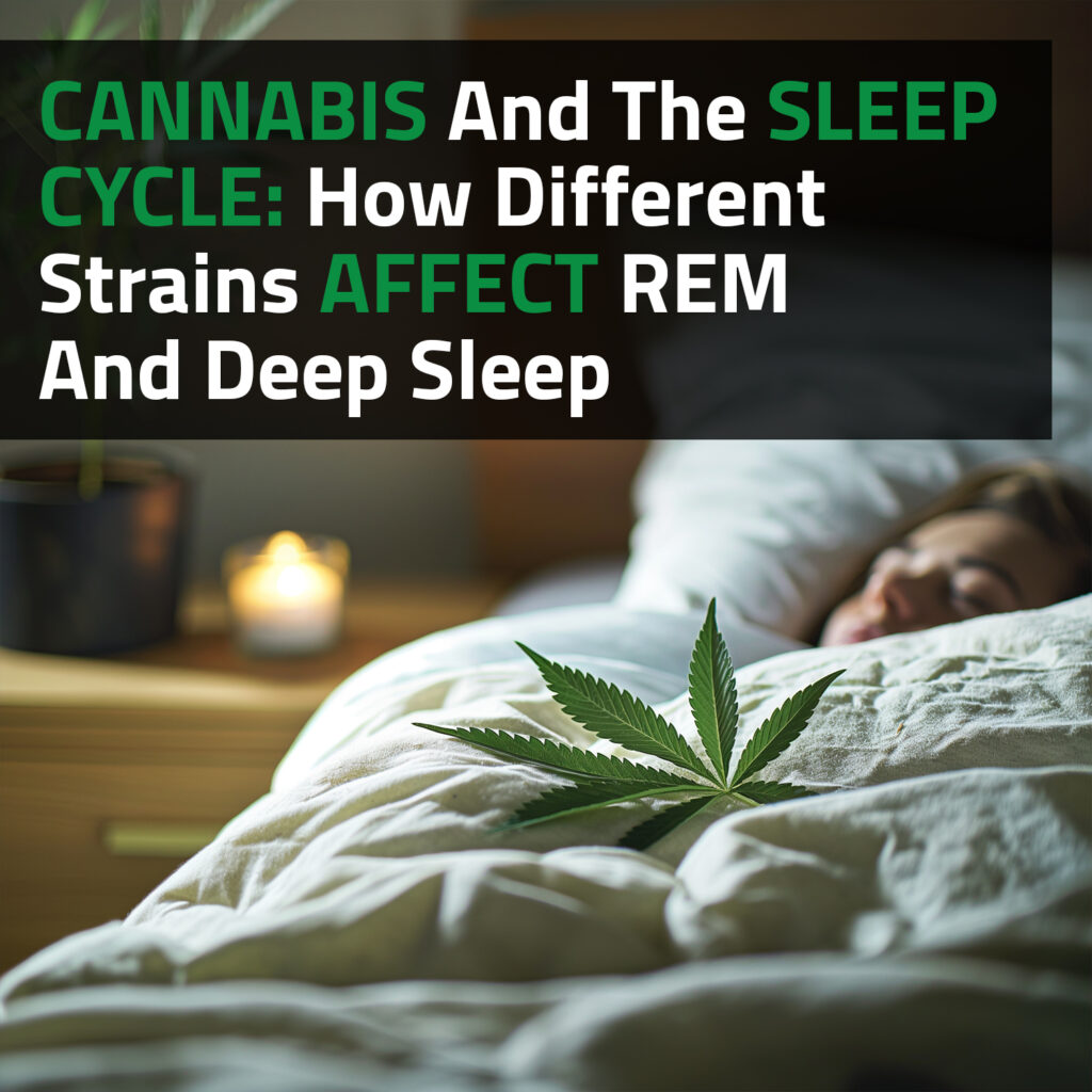 Cannabis And The Sleep Cycle: How Different Strains Affect REM And Deep Sleep