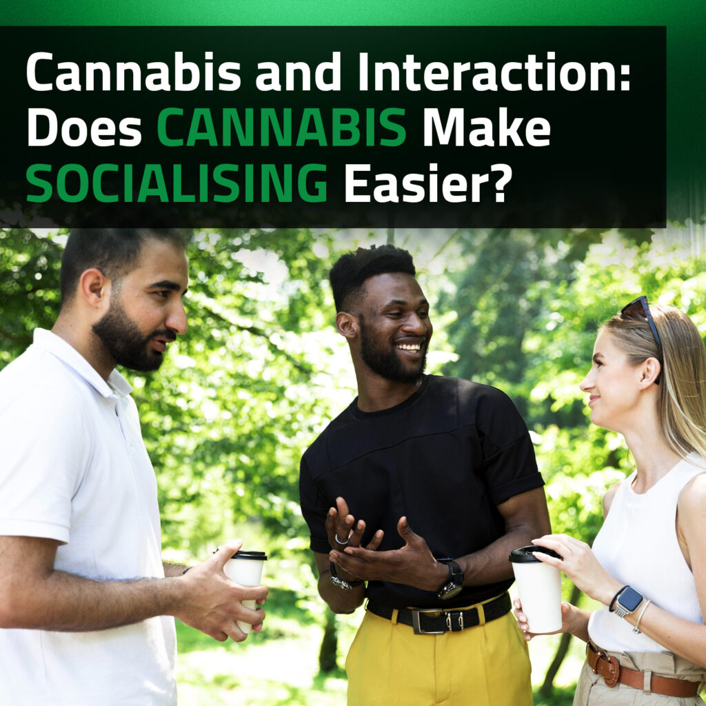 Cannabis And Interaction: Does Cannabis Make Socialising Easier?