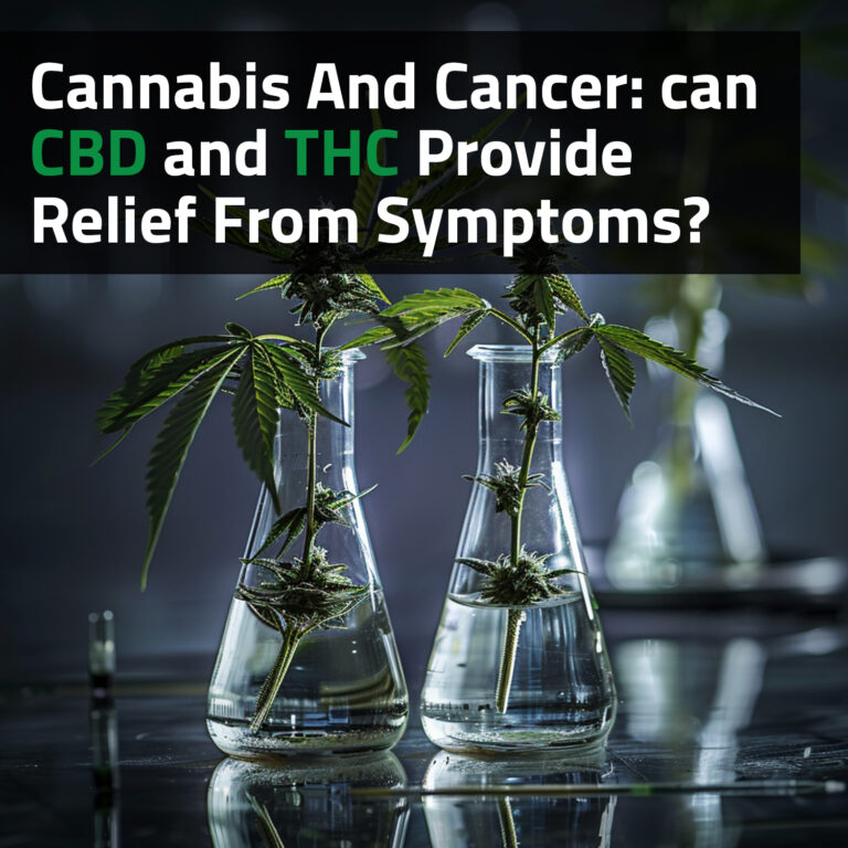 Cannabis And Cancer: Can CBD And THC Provide Relief From Symptoms?