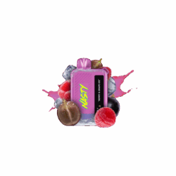 NASTY BAR 10K Disposable - Berry & Grape Ice