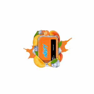NASTY BAR 10K Disposable - Peach Ice