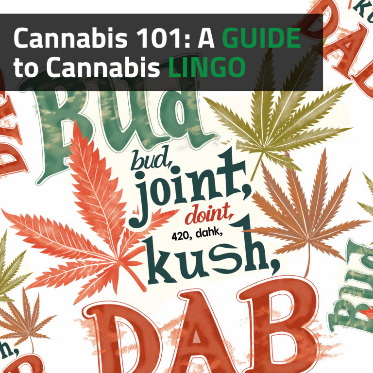 Cannabis 101: A Guide to Cannabis Lingo
