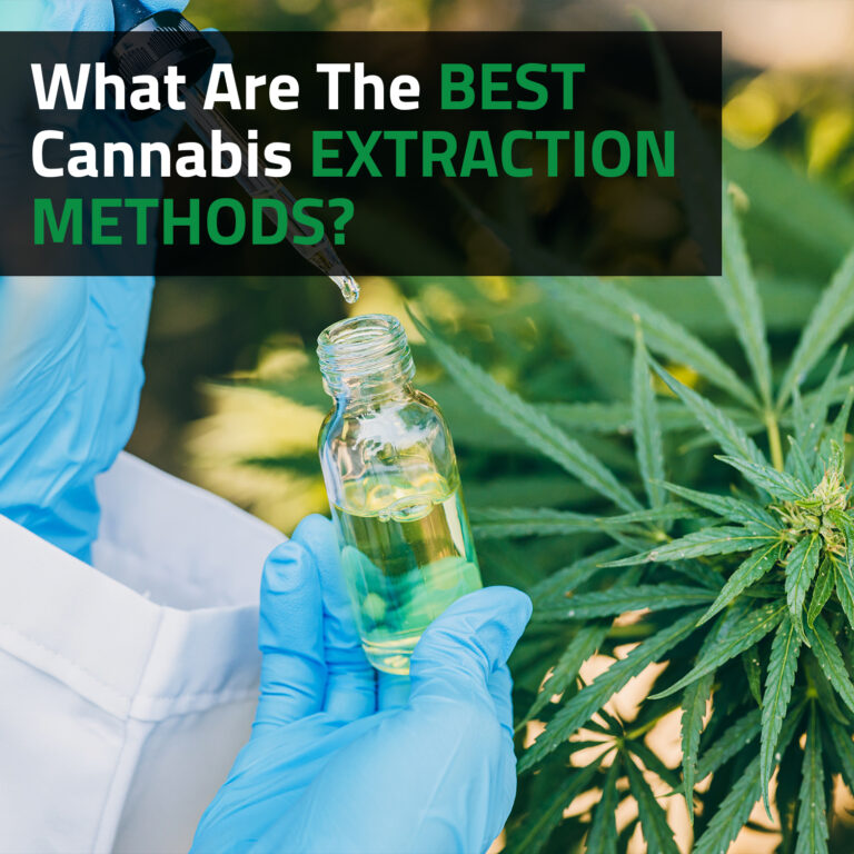 What Are The Best Cannabis Extraction Methods?