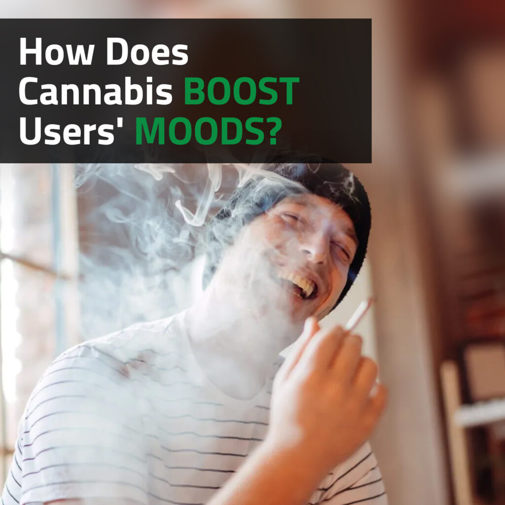 How Does Cannabis Boost Users' Moods?