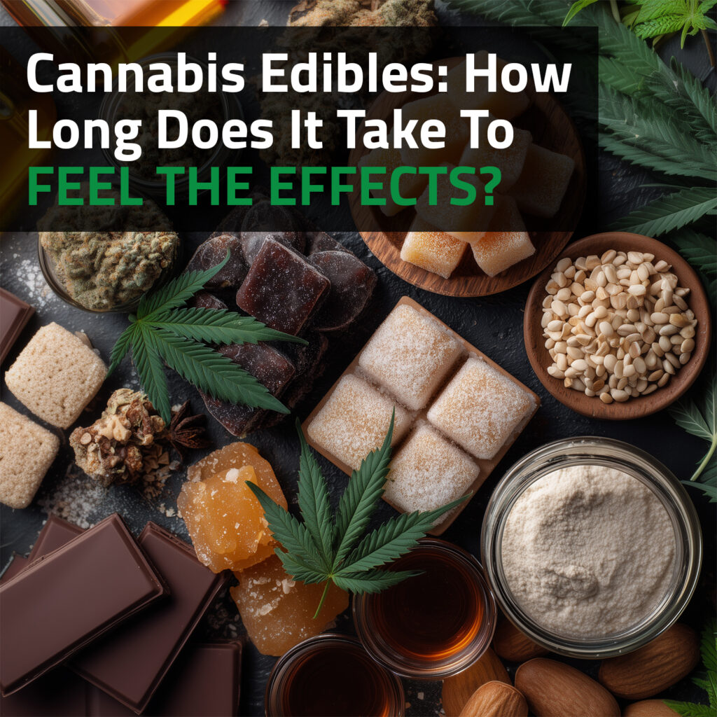 Cannabis Edibles: How Long Does It Take To Feel The Effects?