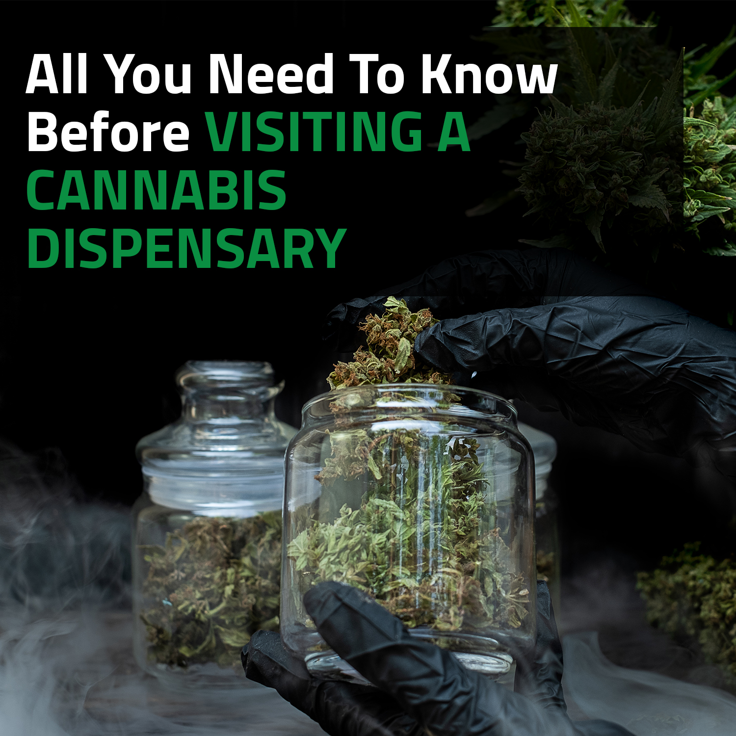 All You Need To Know Before Visiting A Cannabis Dispensary